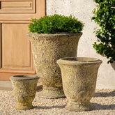 Photo of Campania Gironde Planter - Angkor Yellow - Set of 3 - Marquis Gardens